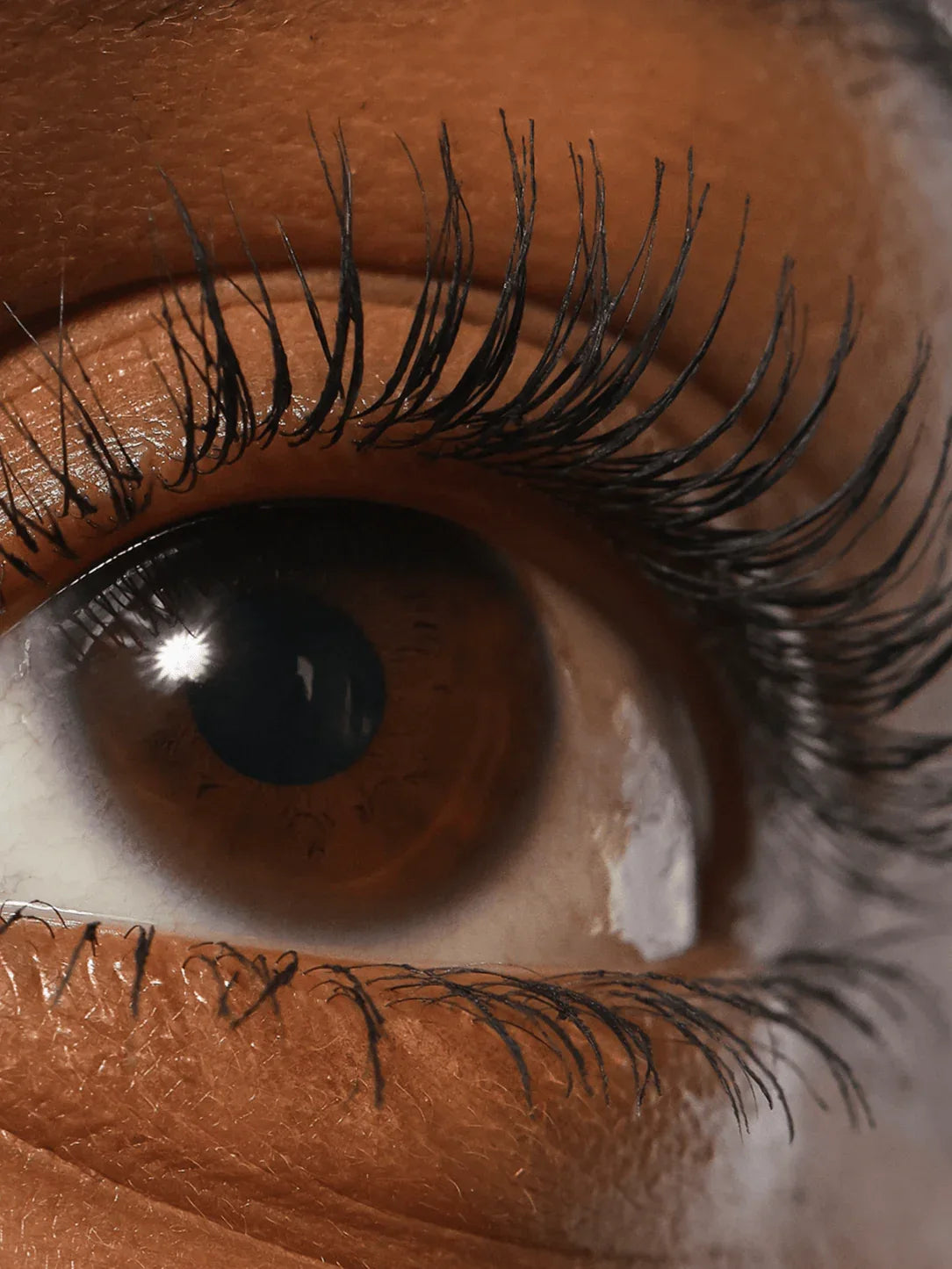 Refy Lash Sculpt - Kirpik Şekillendirici - My Suti