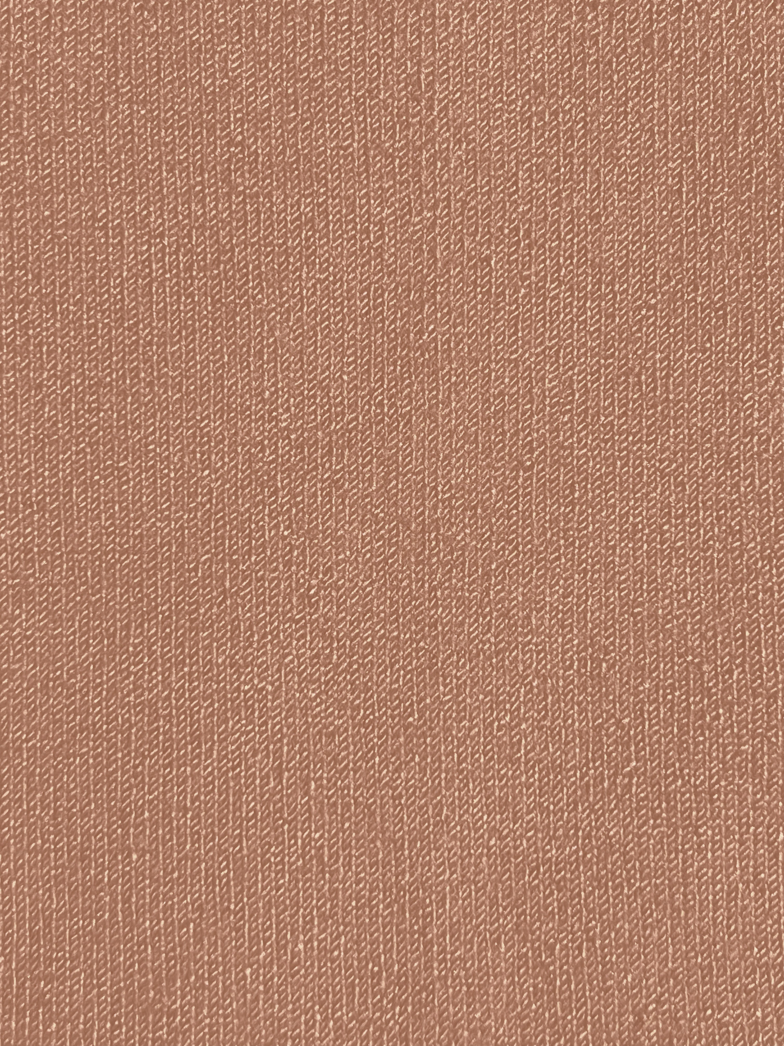 SKIMS EVERYDAY ANKLE SOCK | SIENNA