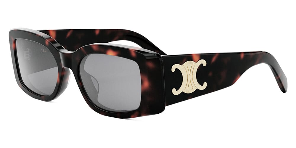 Celine Triomphe CL40282U 52A